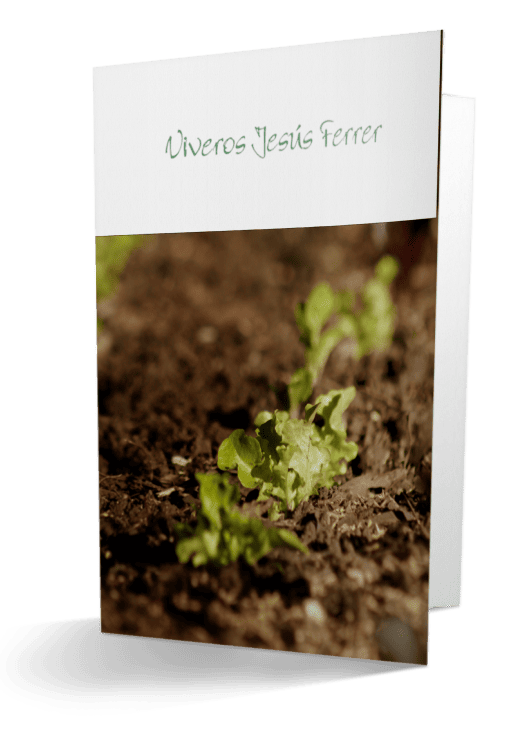 Calendario de siembra