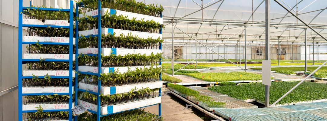 Planta hortícola profesional en Calahorra